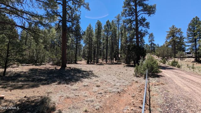 2968 CONSTELLATION Lane -, Overgaard, AZ 85933