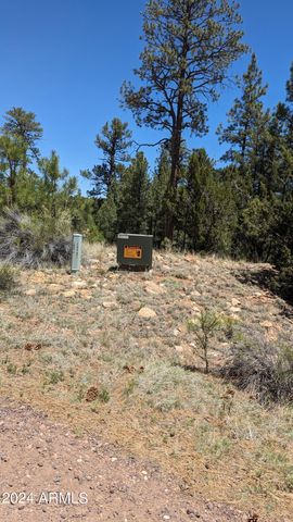 2968 CONSTELLATION Lane -, Overgaard, AZ 85933