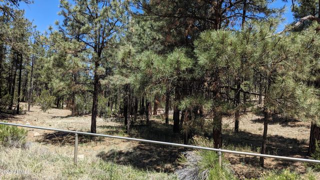 2968 CONSTELLATION Lane -, Overgaard, AZ 85933