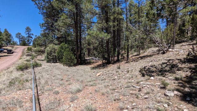 2968 CONSTELLATION Lane -, Overgaard, AZ 85933