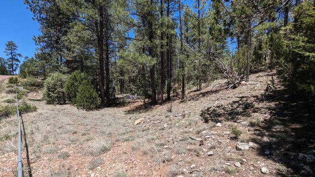 2968 CONSTELLATION Lane -, Overgaard, AZ 85933