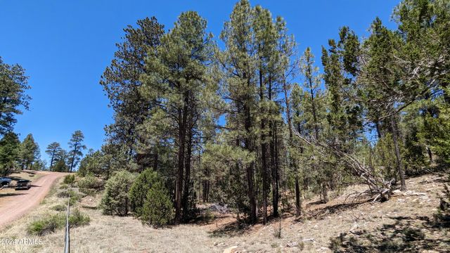 2968 CONSTELLATION Lane -, Overgaard, AZ 85933