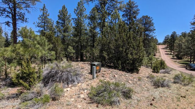 2968 CONSTELLATION Lane -, Overgaard, AZ 85933