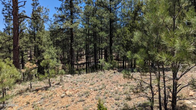 2968 CONSTELLATION Lane -, Overgaard, AZ 85933