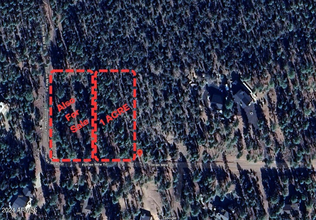 2968 CONSTELLATION Lane -, Overgaard, AZ 85933