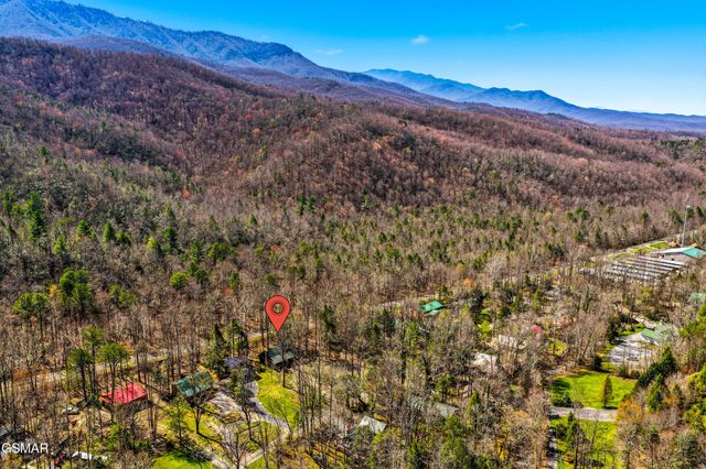 4432 E Scenic Drive, Gatlinburg, TN 37738