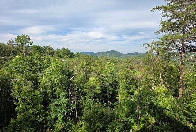 95 Ridgeline Lane, Mineral Bluff, GA 30559