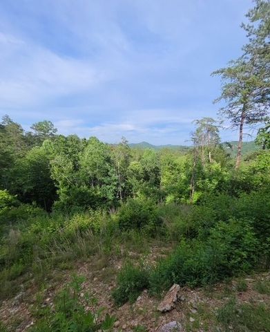 95 Ridgeline Lane, Mineral Bluff, GA 30559