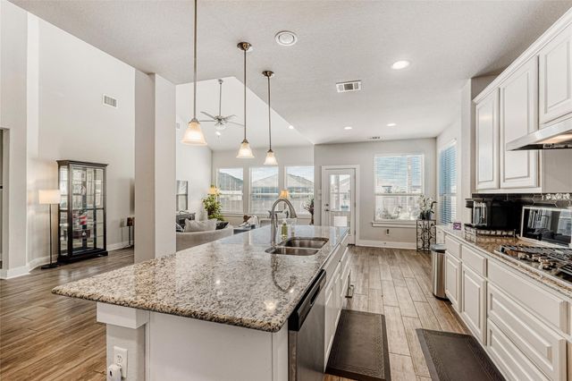 461 Chaste Tree DR, San Marcos, TX 78666