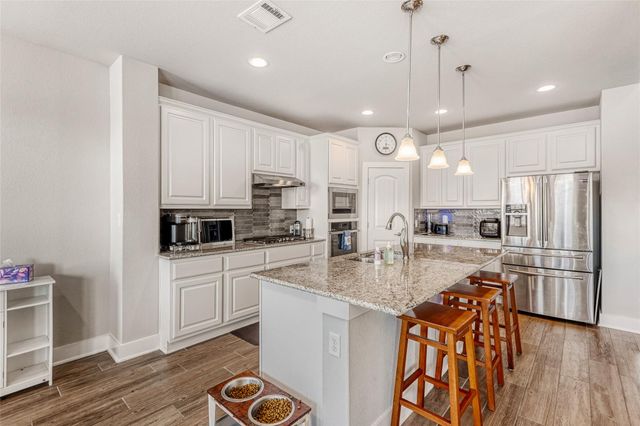 461 Chaste Tree DR, San Marcos, TX 78666