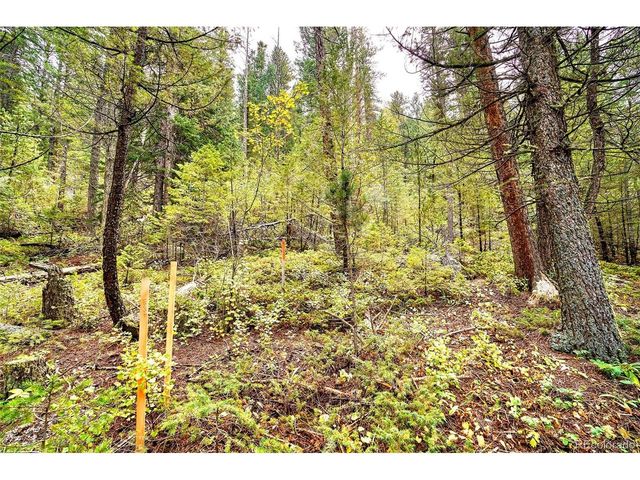 10862 Twin Spruce Rd, Golden, CO 80403