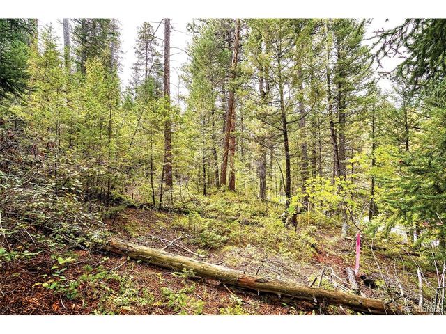 10862 Twin Spruce Rd, Golden, CO 80403