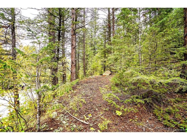 10862 Twin Spruce Rd, Golden, CO 80403