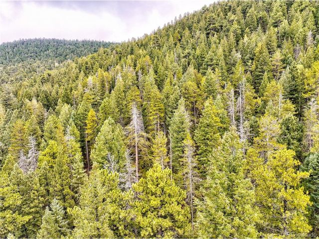 10862 Twin Spruce Rd, Golden, CO 80403