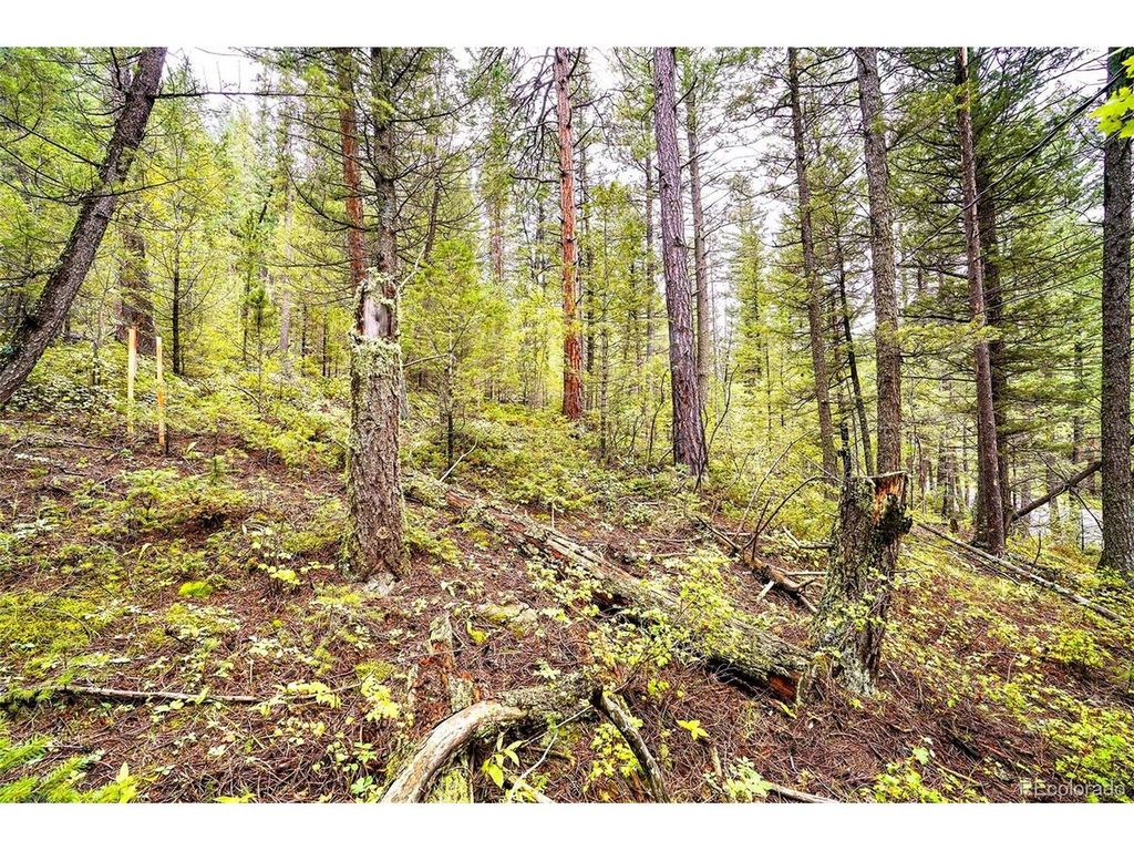 10862 Twin Spruce Rd, Golden, CO 80403