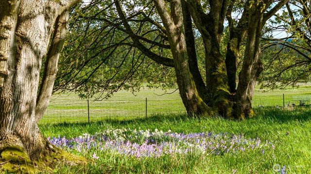 2720 Thompson Road, Langley, WA 98260