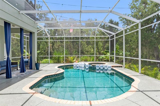 1079 RIVERSIDE RIDGE ROAD, Tarpon Springs, FL 34688