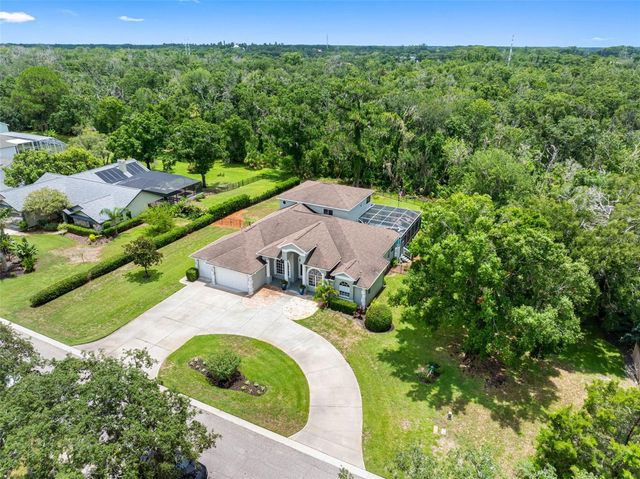 1079 RIVERSIDE RIDGE ROAD, Tarpon Springs, FL 34688