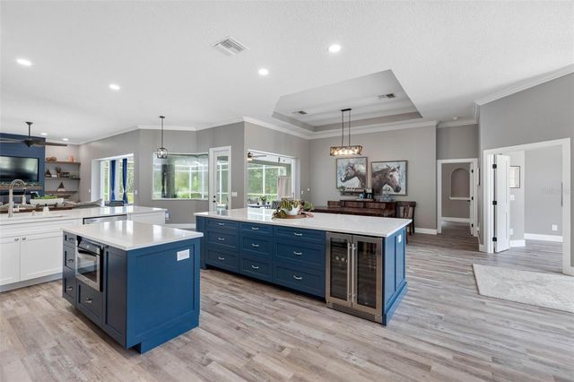 1079 RIVERSIDE RIDGE ROAD, Tarpon Springs, FL 34688