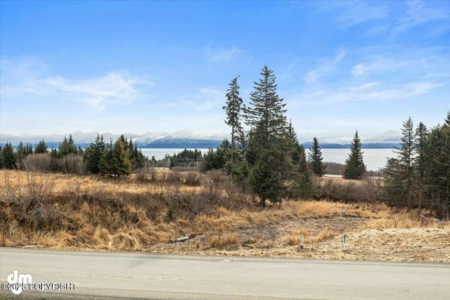1082 Robert Avenue, Homer, AK 99603