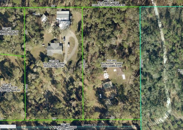 20403 GAMBLE DRIVE, Brooksville, FL 34601