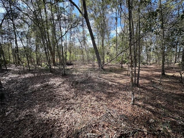 20403 GAMBLE DRIVE, Brooksville, FL 34601