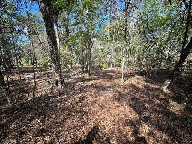 20403 GAMBLE DRIVE, Brooksville, FL 34601