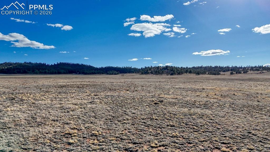 L5209 To-Ma-Kin Circle, Hartsel, CO 80449 — photo 5