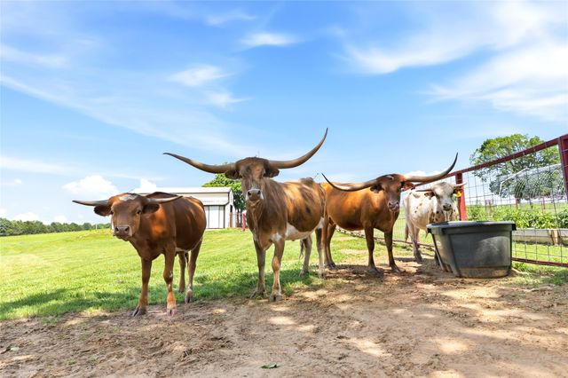 235 Magnus Road, Denison, TX 75021