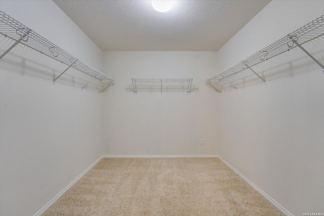 11710 Meadowood Oaks, San Antonio, TX 78254