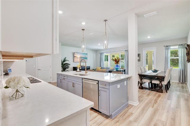 5972 SACRED OAK AVENUE, Mount Dora, FL 32757