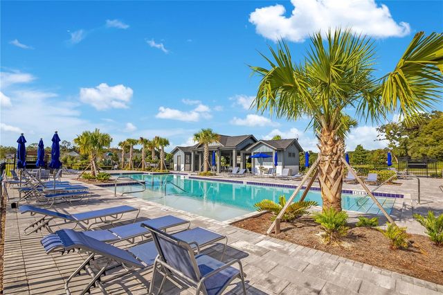 5972 SACRED OAK AVENUE, Mount Dora, FL 32757