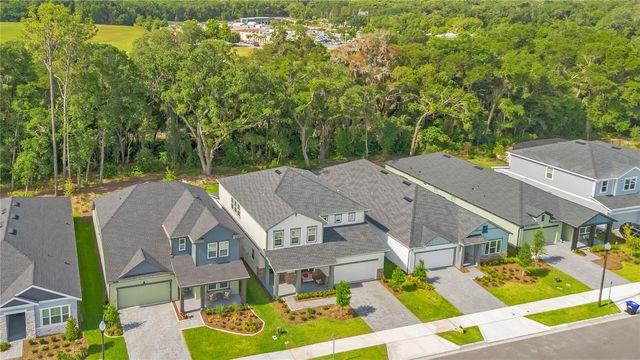 5972 SACRED OAK AVENUE, Mount Dora, FL 32757