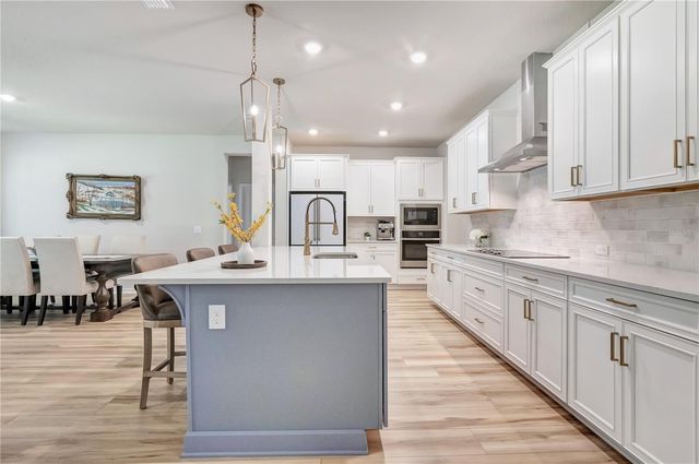 5972 SACRED OAK AVENUE, Mount Dora, FL 32757