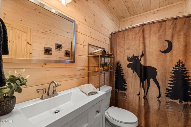 3851 Mistletoe Loop, Sevierville, TN 37876