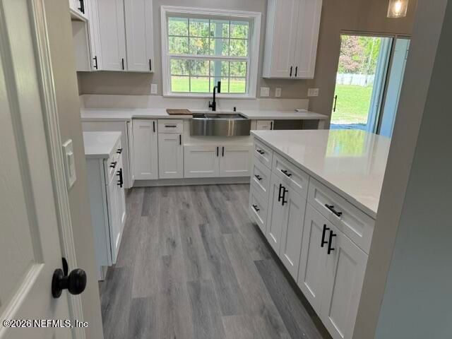 4854 DANDELION Street, Middleburg, FL 32068
