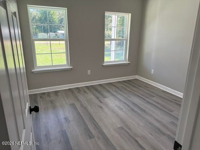 4854 DANDELION Street, Middleburg, FL 32068