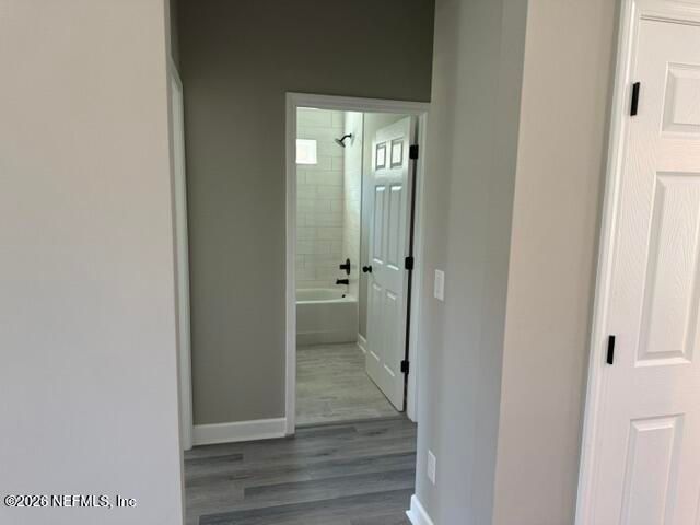 4854 DANDELION Street, Middleburg, FL 32068