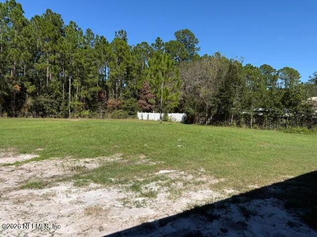 4854 DANDELION Street, Middleburg, FL 32068