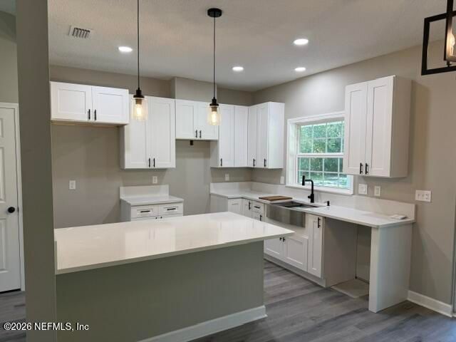 4854 DANDELION Street, Middleburg, FL 32068