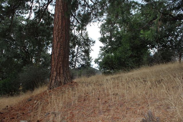 340 Mariposa Drive, Pierpoint Springs, CA 93265