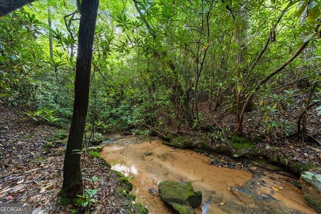 126 Brookwood Drive, Blue Ridge, GA 30513