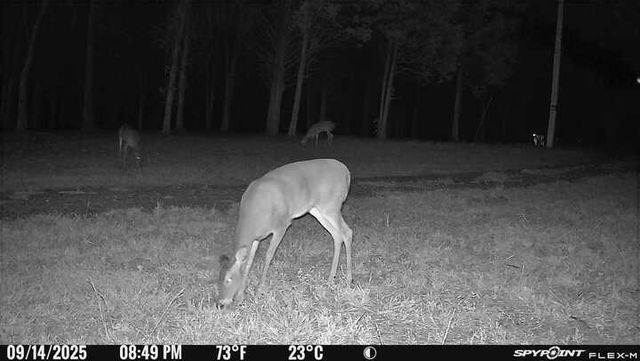 0 Atkinson Road, Lebanon, TN 37090