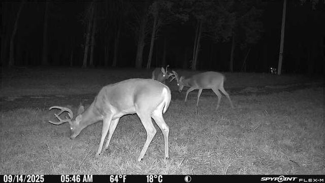 0 Atkinson Road, Lebanon, TN 37090