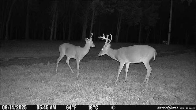 0 Atkinson Road, Lebanon, TN 37090