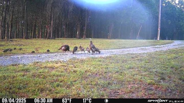 0 Atkinson Road, Lebanon, TN 37090