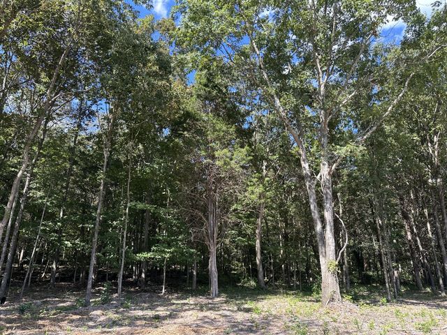 0 Atkinson Road, Lebanon, TN 37090