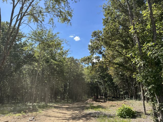 0 Atkinson Road, Lebanon, TN 37090