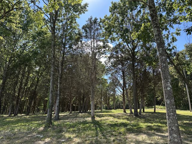 0 Atkinson Road, Lebanon, TN 37090