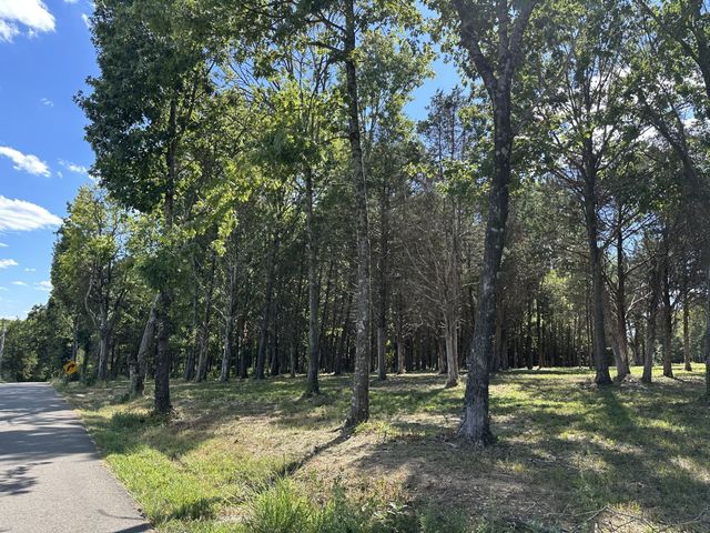 0 Atkinson Road, Lebanon, TN 37090